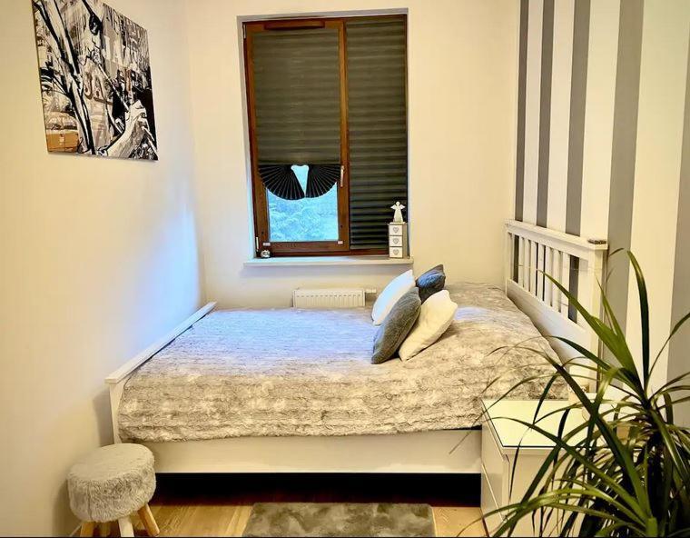 Apartment Jazz Konstancin-Jeziorna Eksteriør billede